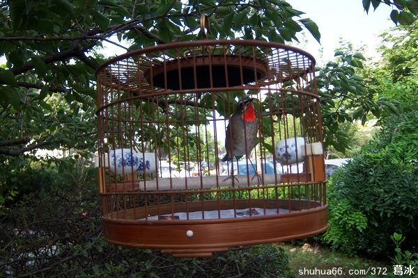 �� �� �� �� �� ��-----������