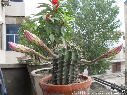 �����������򿪻���