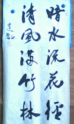 ���� ���� �㻳