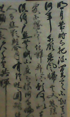 ���� ���� �㻳