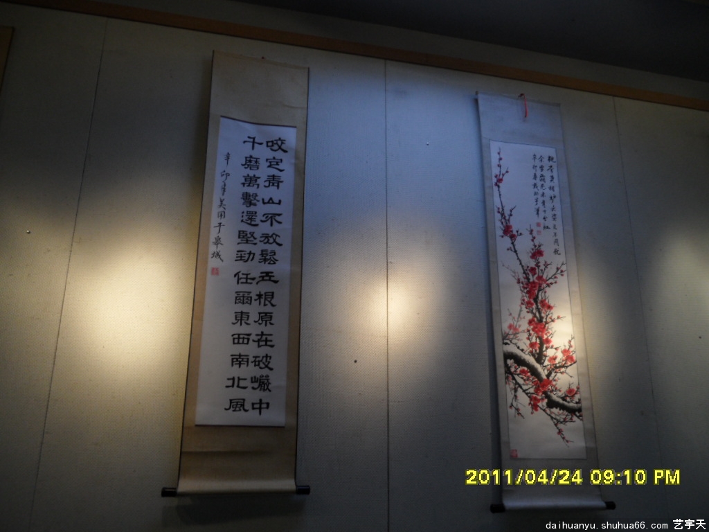 SAM_2804