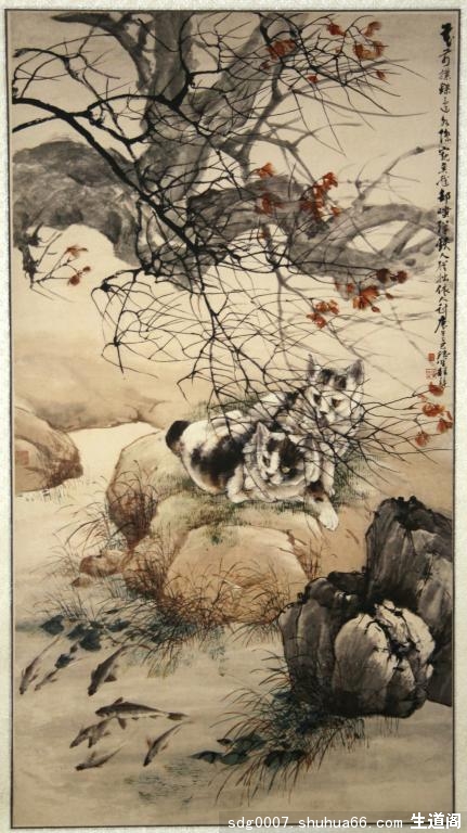 �����ϣ�˫è����ͼ