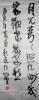 ﻢ鷨7