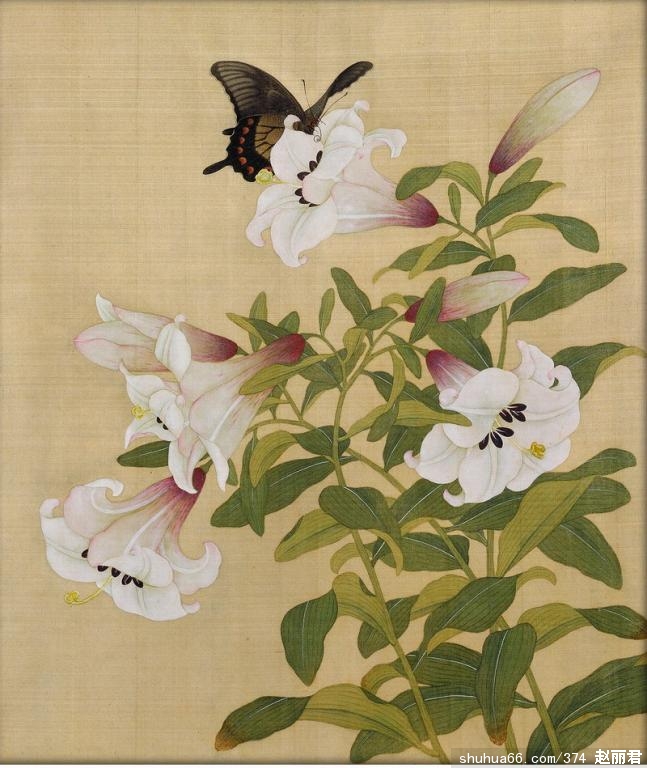 ���ʹ�����Ժ�ղصĹ�����