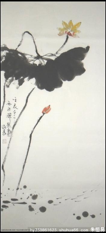 朱恒易国画作品莲