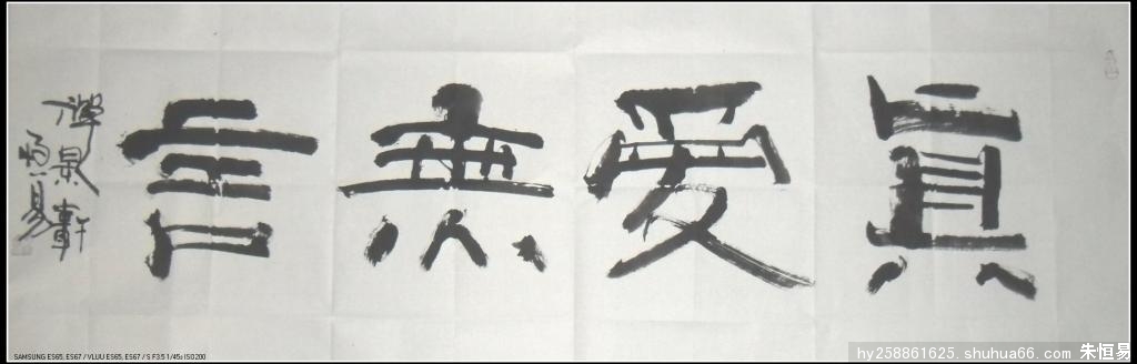 朱恒易作品莲(真爱无言)