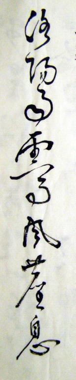 ��ȥ�ٵ���������