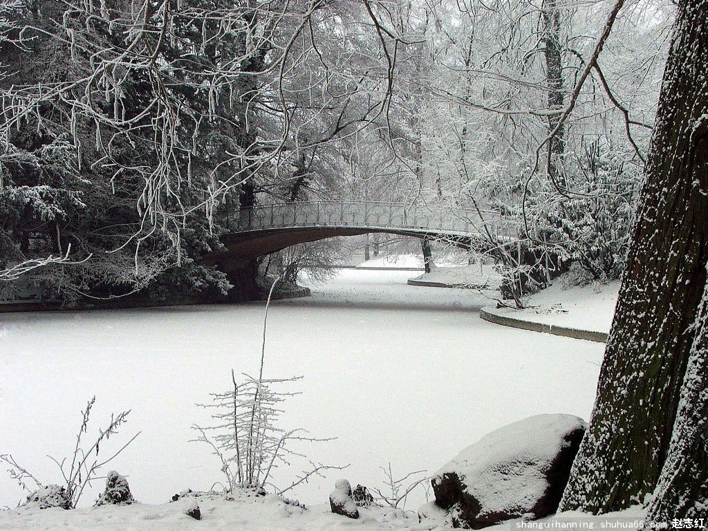 ������   ���紺��