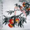 我的画册