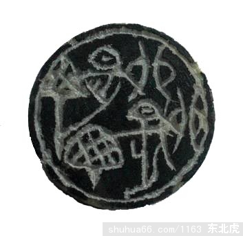 CIMG5884