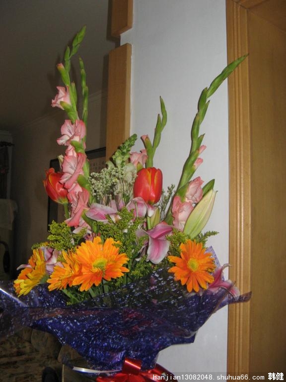 2011��ΰ��ɩ�͸��ҵ��ʻ�����ף���ҵ����ա�