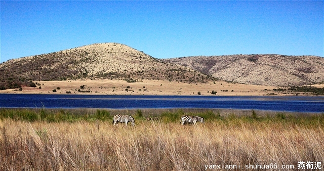 南非行——之“惊魂”约翰内斯堡