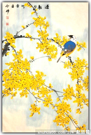 Ʒ24