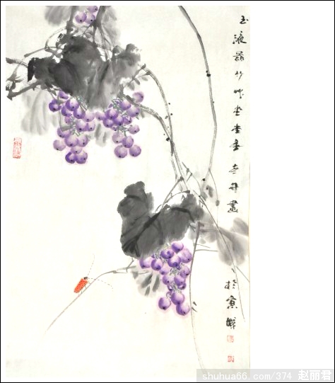 Ʒ41