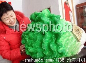 �Ҹ��İײˡ���֮��