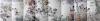 Ҵľ޷ټͼ180cm*7800cm