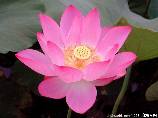 �����֮��