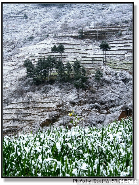 ����  ѩ��  (��԰����֮�ġ�-1)