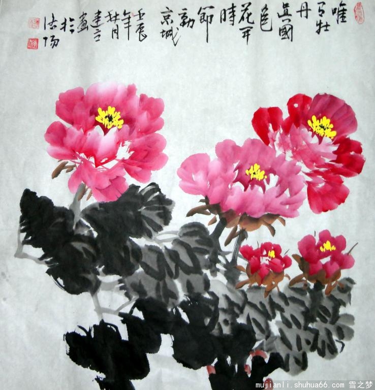 DSC00286