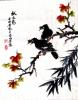 我的相册