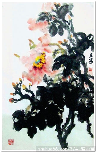 ABƷ5