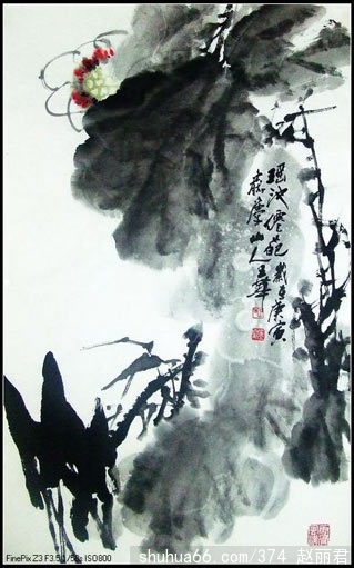 ABƷ7