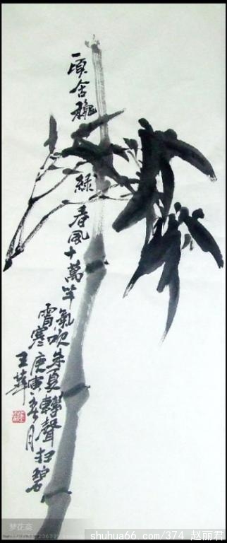 ABƷ13pg