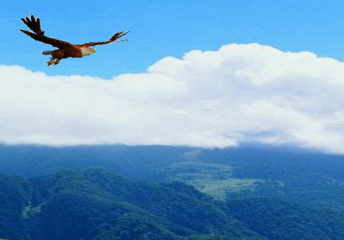 ӑB(ti)ɽˮ7gif