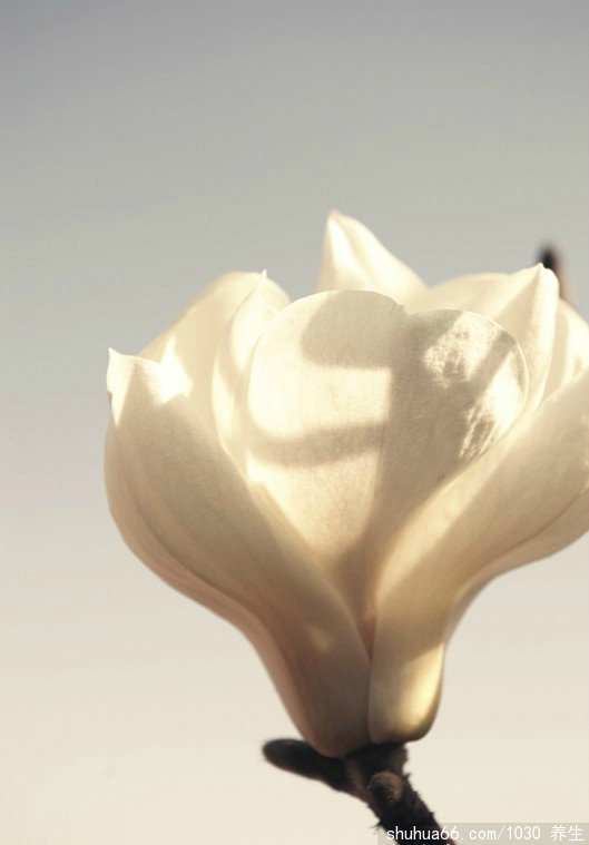 �������µ�����