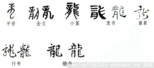 ���ֵ��ݱ�������