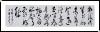 鷨