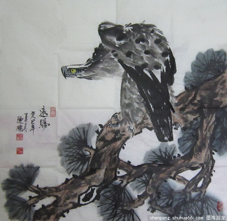 Ӧ����֮Լ����ӥϵ��