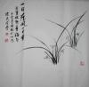 我的相册