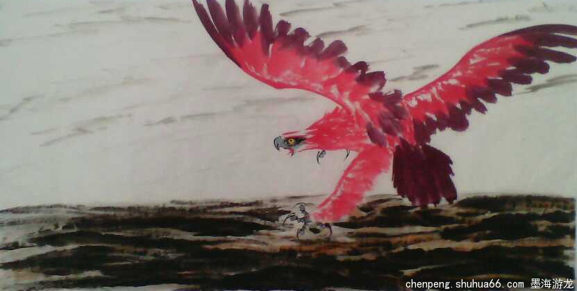 �������ͣ�����ӥϵ�У����Խ��