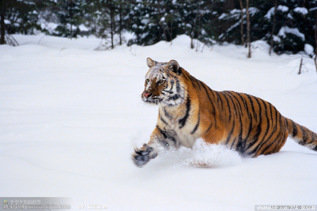 �ϻ���̬��19��