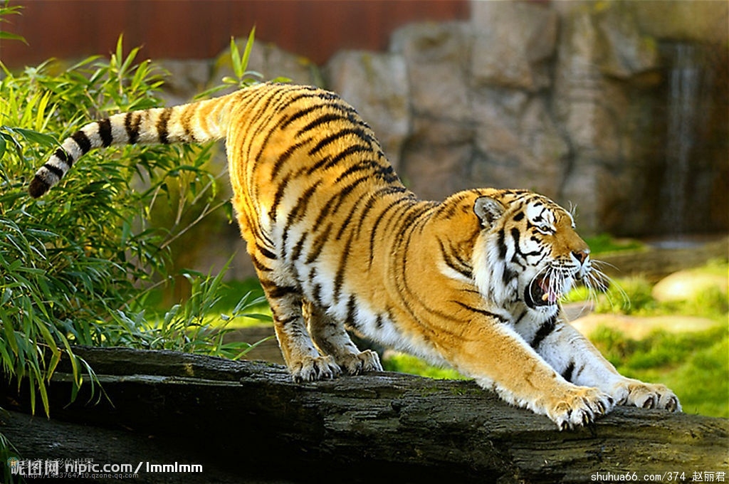 �ϻ���̬��21��