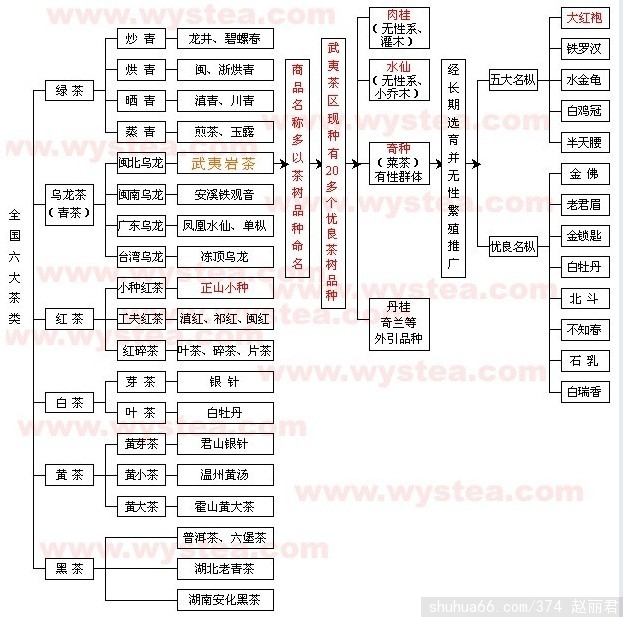 ��һ��ͼ������й���Ҷ���ࡿ