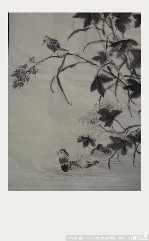 �������ҵ-------�ĳ�ˮī����