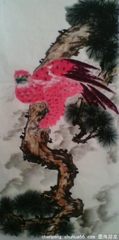 ������������ӥϵ�У�����ʦ�Ƕ�ָ��