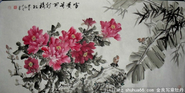 ����һǽ��ĵ������ʦ��ָ�̣�