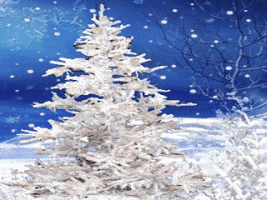 ѩ���Ŀ���