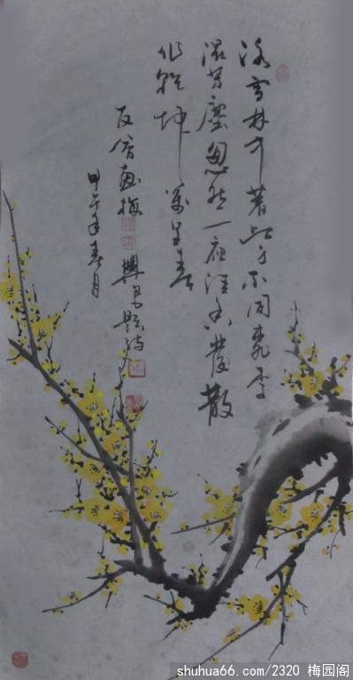 2014.1.23 (8)