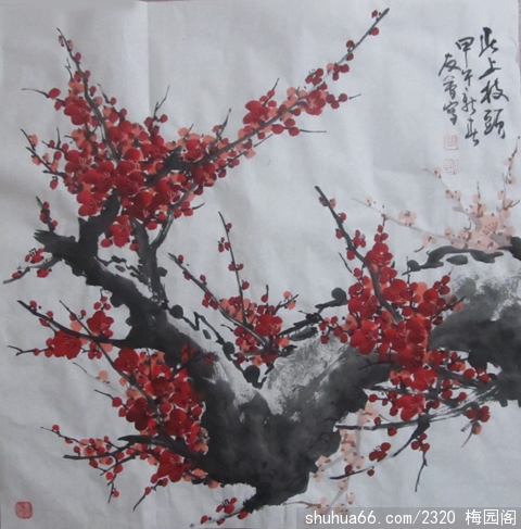 2014.1.26 (11)