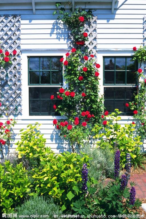 ��������Լ��