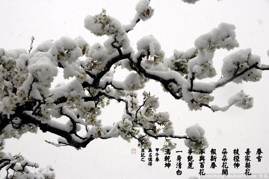 ���紺ѩ����Ҳѧдʫ��������ש�����󾫽�