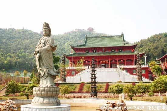 金山活佛/(五 活佛化米 救济金山)