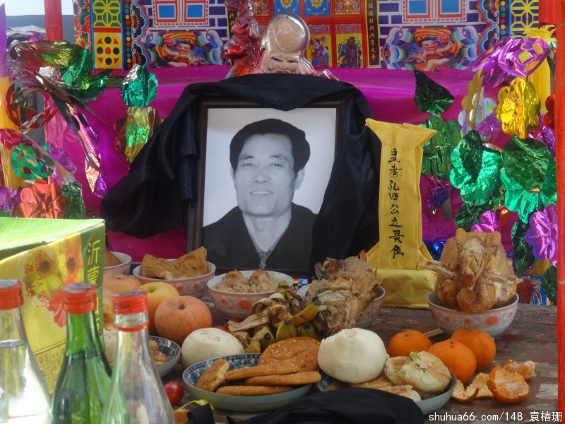 牡丹正开人何在 花鸟到处招魂还