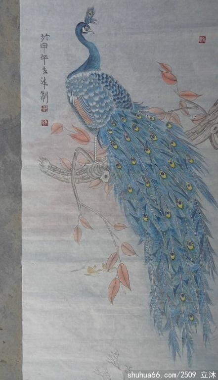 ��������Ŀ�ȸ