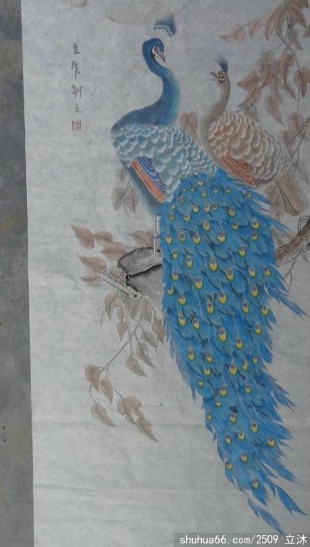 ��������Ŀ�ȸ