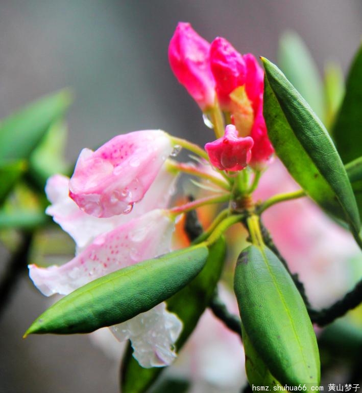 IMG_0178_����